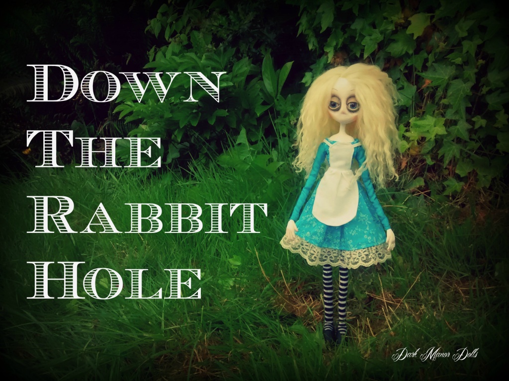 Down the Rabbit Hole4